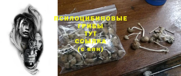 мяу мяу мука Алексеевка