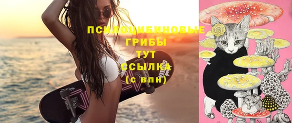 мяу мяу мука Алексеевка