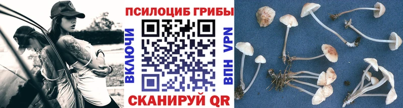 купить наркотики сайты  Снежинск  ОМГ ОМГ онион  Галлюциногенные грибы прущие грибы 